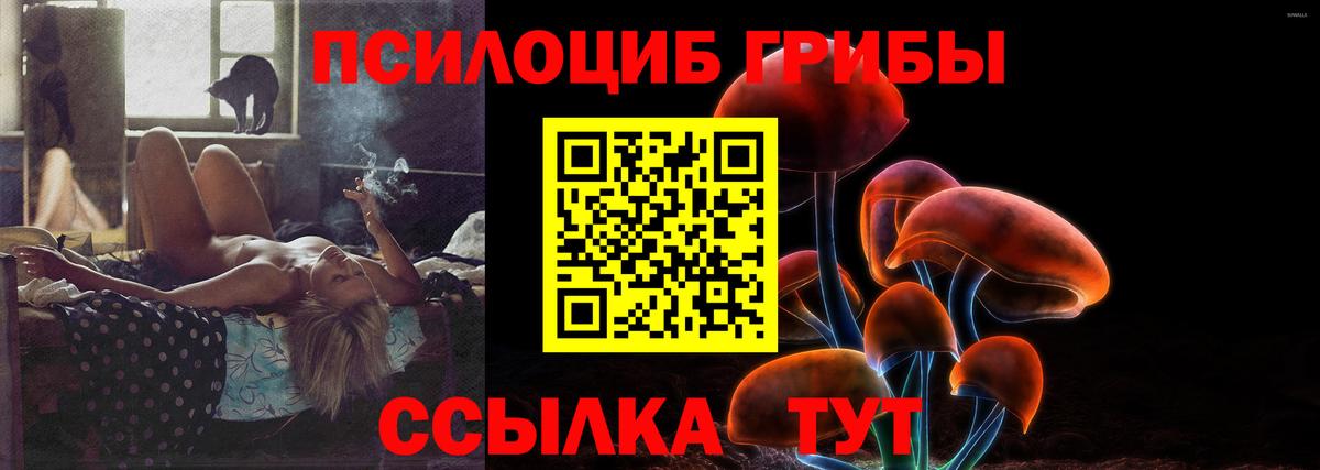 Джанкой  Галлюциногенные грибы Cubensis  Вход с VPN 